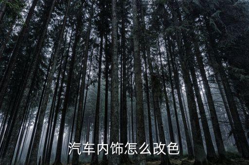 汽车内饰颜色哪里可以改，汽车内饰座椅改色去哪里改