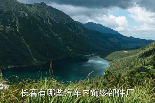 长春有哪些汽车内饰零部件厂