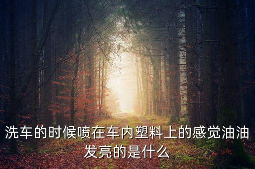 洗车的时候喷在车内塑料上的感觉油油发亮的是什么