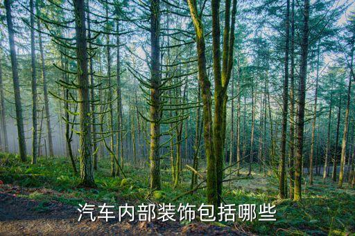 汽车内部装饰包括哪些