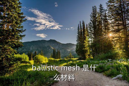 ballistic mesh 是什么材料