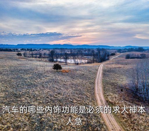 汽车的哪些内饰功能是必须的求大神本人急