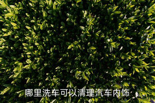 哪里洗车可以清理汽车内饰