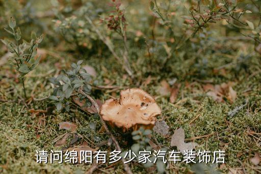 请问绵阳有多少家汽车装饰店