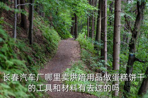 长春汽车厂哪里卖烘焙用品做蛋糕饼干的工具和材料有去过的吗