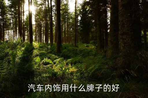汽车内饰用什么牌子的好