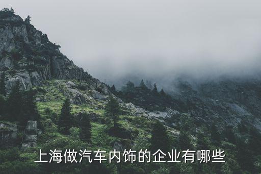 做汽车内饰上市公司有哪些，有哪些大型的做汽车内外饰高分子材料类的公司