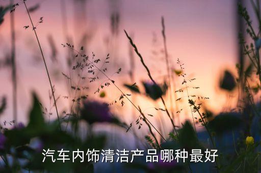 汽车内饰清洁产品哪种最好