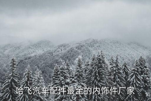 哈飞汽车配件最全的内饰件厂家