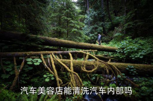 汽车美容店能清洗汽车内部吗