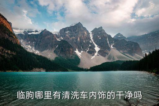 临朐哪里有清洗车内饰的干净吗