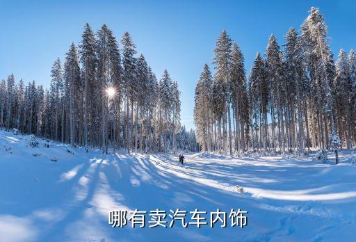 仪征哪里可以汽车内饰的，仪征有哪些汽车工厂