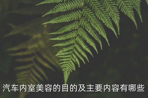 汽车内饰美容有哪些用，汽车内室美容的目的及主要内容有哪些
