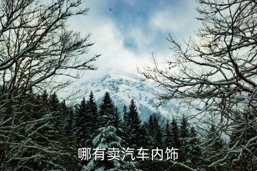 哪有卖汽车内饰