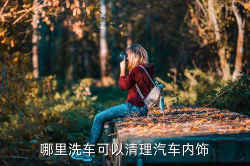 哪里洗车可以清理汽车内饰