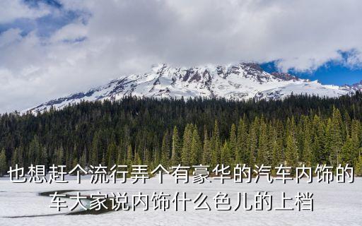 也想赶个流行弄个有豪华的汽车内饰的车大家说内饰什么色儿的上档