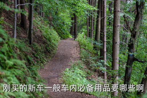 刚买的新车一般车内必备用品要哪些啊