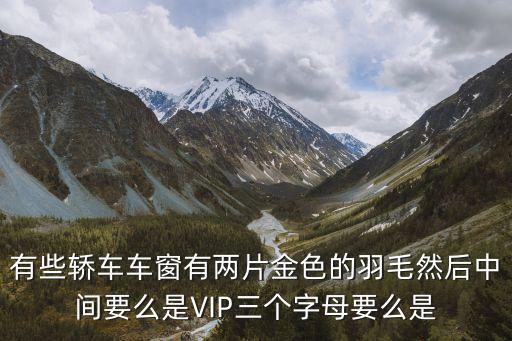 有些轿车车窗有两片金色的羽毛然后中间要么是VIP三个字母要么是