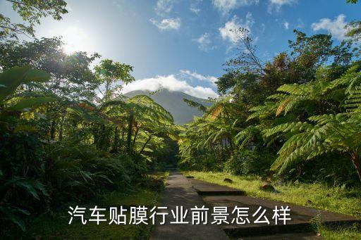 汽车贴膜行业前景怎么样
