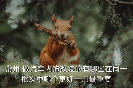 常州 做汽车内饰改装的有哪些在同一批次中哪个更好一点最重要
