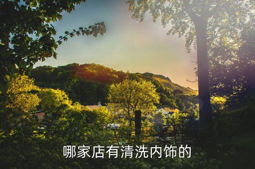哪家店有清洗内饰的
