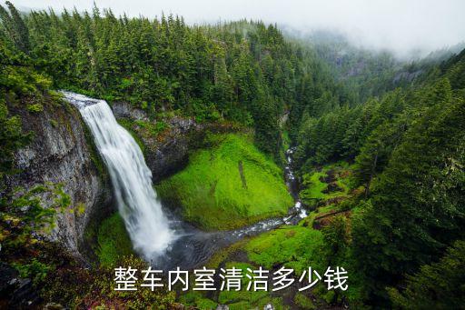 整车内室清洁多少钱