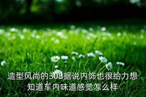 山东江龙汽车内饰怎么样，怎么样评价车的内饰