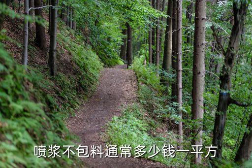 喷浆不包料通常多少钱一平方