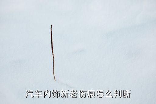 汽车内饰新老伤痕怎么判断