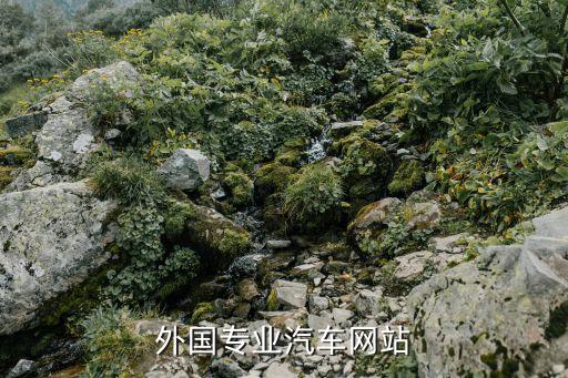 外国专业汽车网站