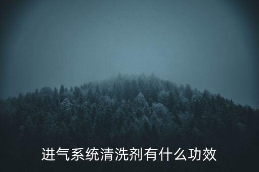 进气系统清洗剂有什么功效