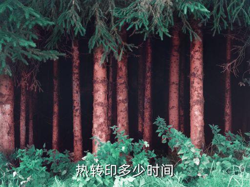 热转印多少时间