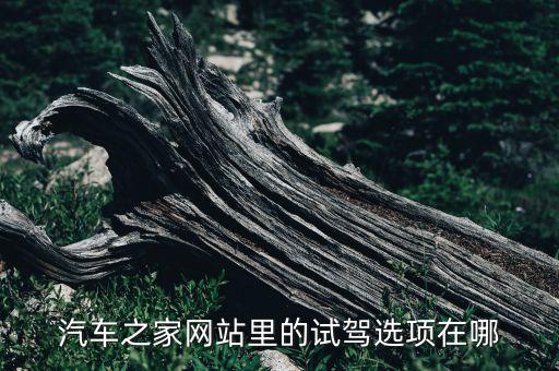 别克预约试驾，看中了一台车但是想去试驾怎样预约