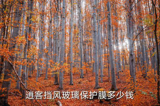逍客挡风玻璃保护膜多少钱