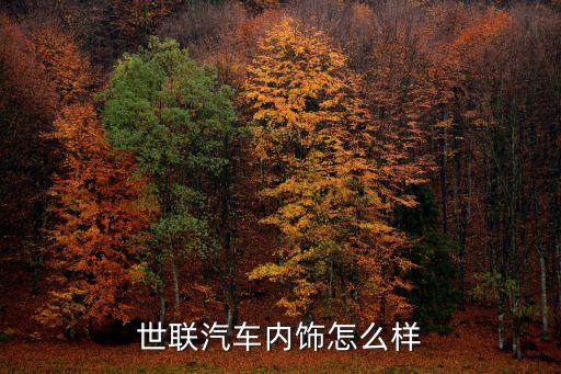 世联汽车内饰怎么样