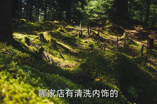哪家店有清洗内饰的