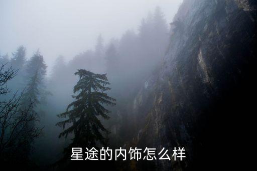 星途的内饰怎么样