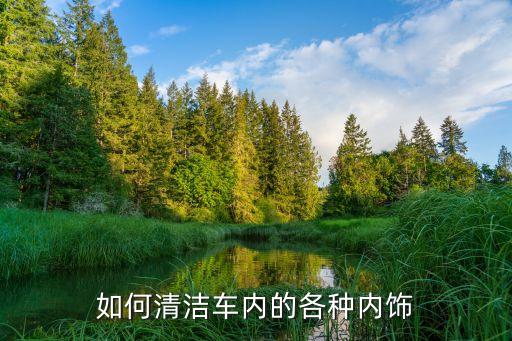 如何清洁车内的各种内饰