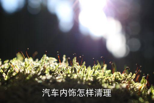 汽车内饰怎样清理