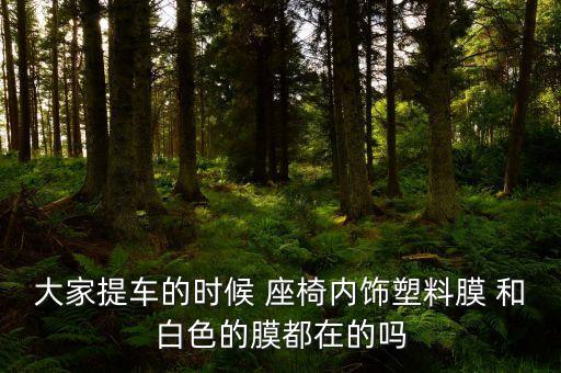 汽车内饰塑料膜在哪里，江苏汽车内饰在哪可以贴膜