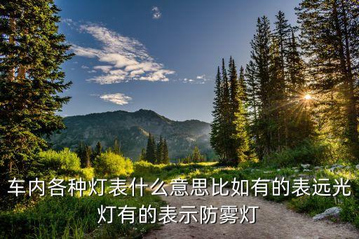车内各种灯表什么意思比如有的表远光灯有的表示防雾灯