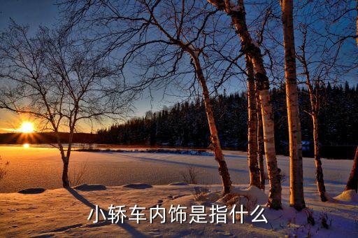 小轿车内饰是指什么