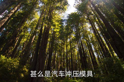 甚么是汽车冲压模具