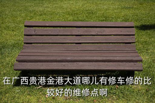 在广西贵港金港大道哪儿有修车修的比较好的维修点啊