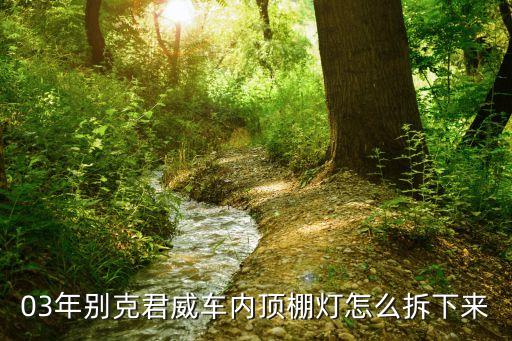 汽车内饰灯罩怎么拆开，03年别克君威车内顶棚灯怎么拆下来