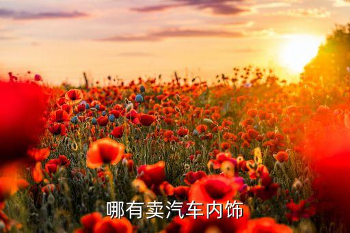 哪有卖汽车内饰