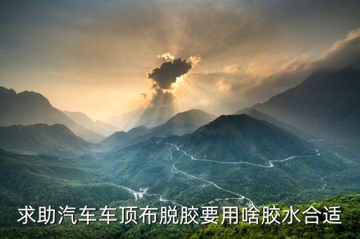 求助汽车车顶布脱胶要用啥胶水合适