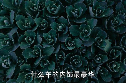 什么车的内饰最豪华