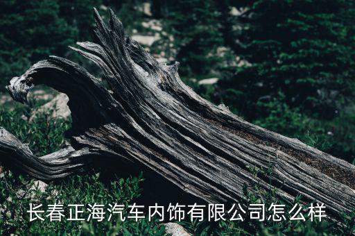 长春正海汽车内饰有限公司怎么样