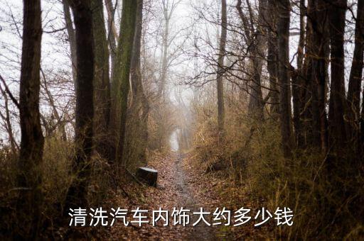 清洗汽车内饰大约多少钱